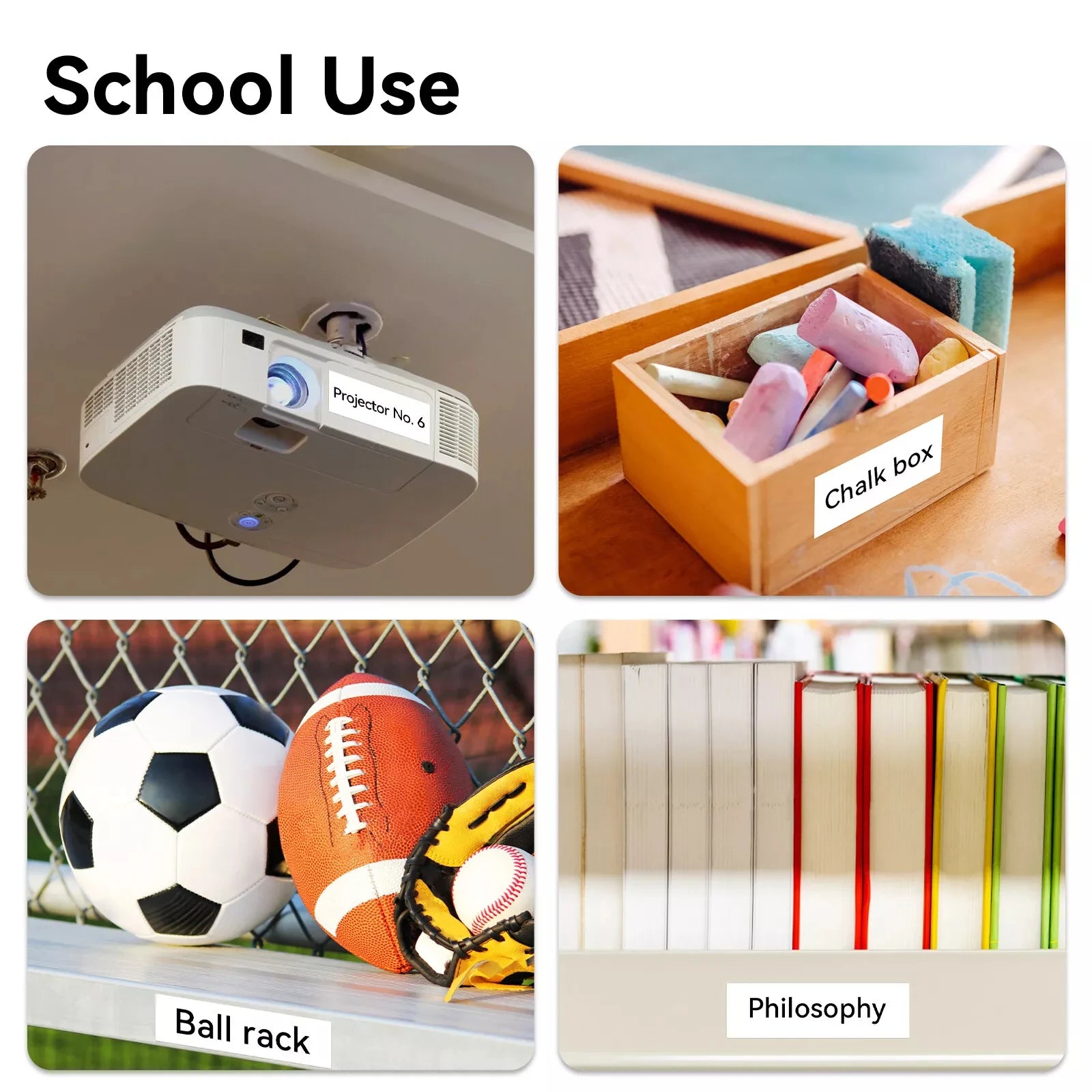 Scec31a2e7cb747589e74e8b2784196dbC